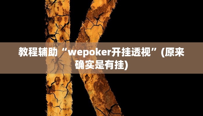 教程辅助“wepoker开挂透视”(原来确实是有挂)