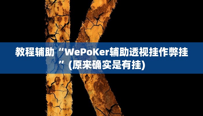 教程辅助“微乐亲友房用挂开挂软件”(原来确实是有挂)