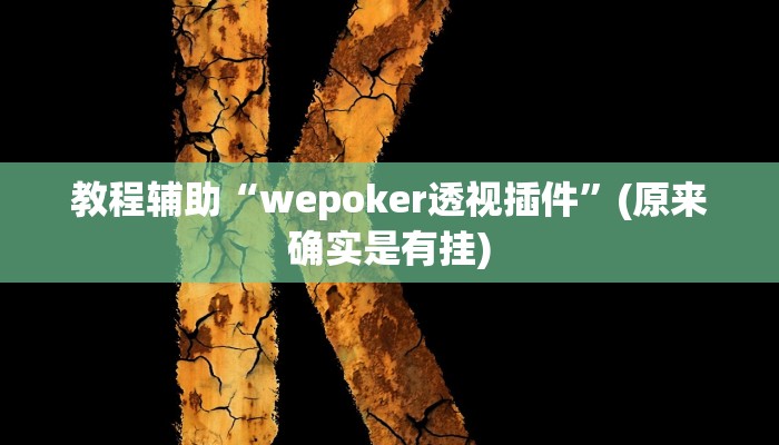 教程辅助“wepoker透视插件”(原来确实是有挂)