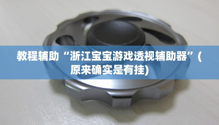教程辅助“浙江宝宝游戏透视辅助器”(原来确实是有挂)