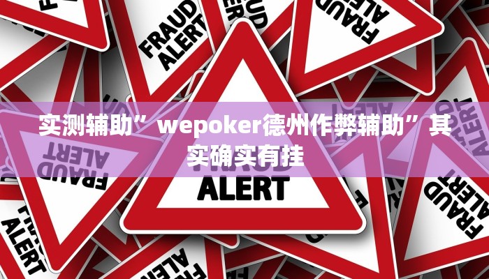 实测辅助”wepoker德州作弊辅助”其实确实有挂
