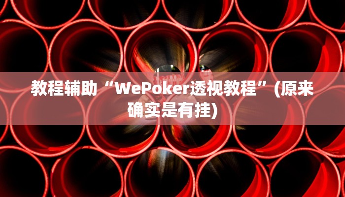 教程辅助“WePoker透视教程”(原来确实是有挂)