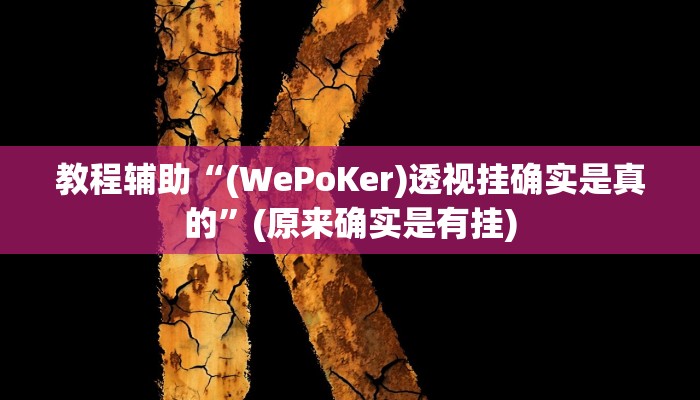 教程辅助“(WePoKer)透视挂确实是真的”(原来确实是有挂)