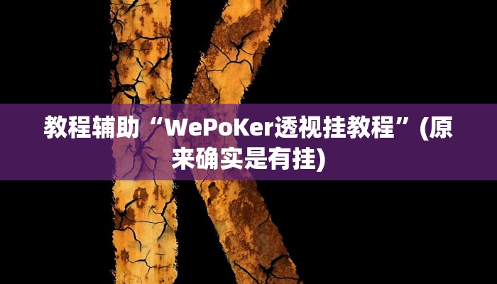 教程辅助“WePoKer透视挂教程”(原来确实是有挂)