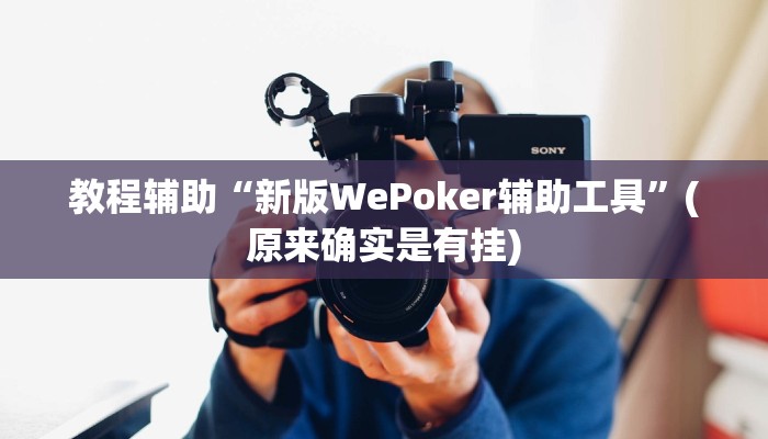 教程辅助“新版WePoker辅助工具”(原来确实是有挂)