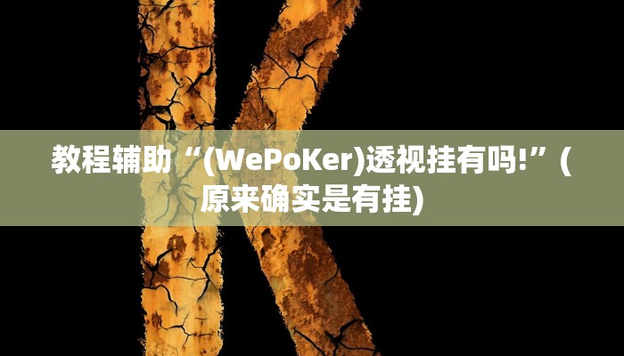 教程辅助“(WePoKer)透视挂有吗!”(原来确实是有挂)