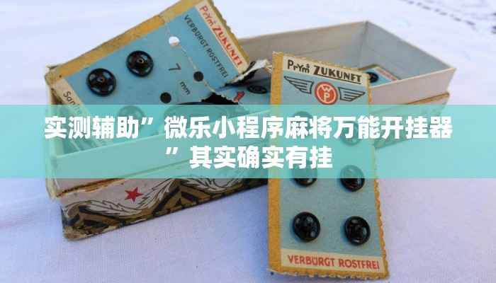 实测辅助”微乐小程序麻将万能开挂器”其实确实有挂