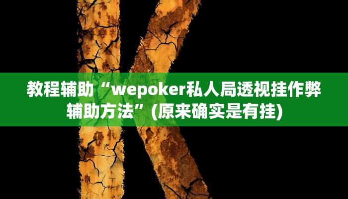 教程辅助“wepoker私人局透视挂作弊辅助方法”(原来确实是有挂)