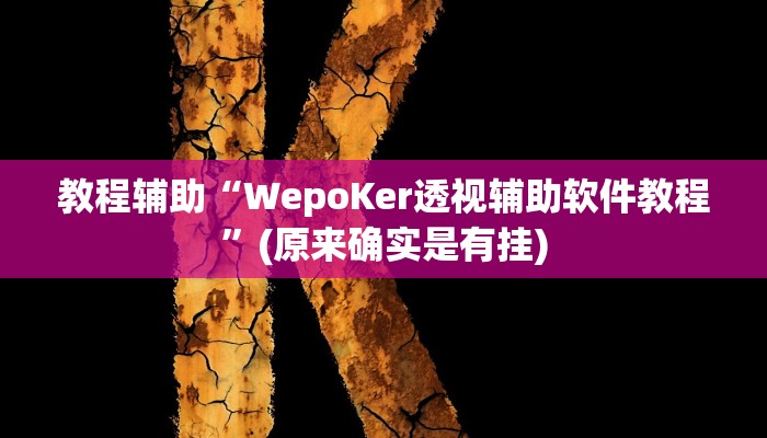 教程辅助“WepoKer透视辅助软件教程”(原来确实是有挂)