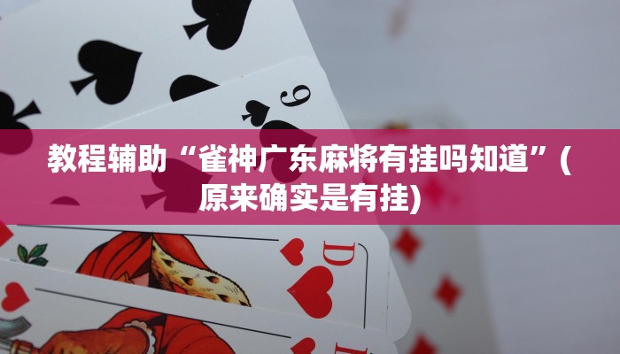 教程辅助“哥哥杭州麻将怎么开挂”(原来确实是有挂)