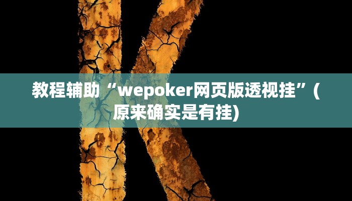 教程辅助“WPK德州透视辅助器”(原来确实是有挂)