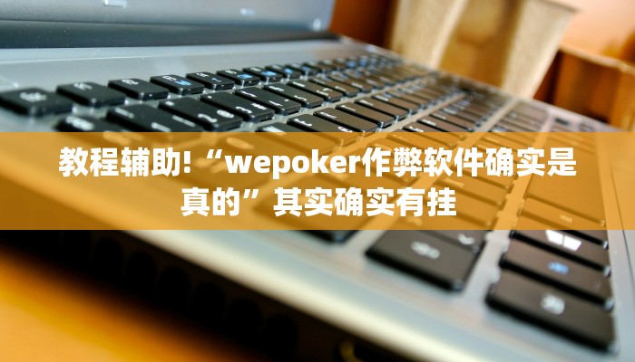 教程辅助!“wepoker作弊软件确实是真的”其实确实有挂