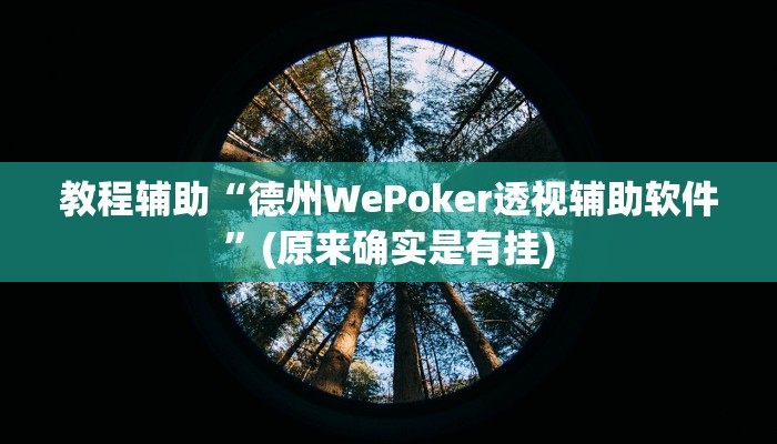 教程辅助“德州WePoker透视辅助软件”(原来确实是有挂)