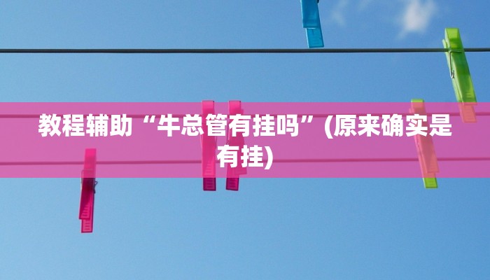 教程辅助“牛总管有挂吗”(原来确实是有挂)