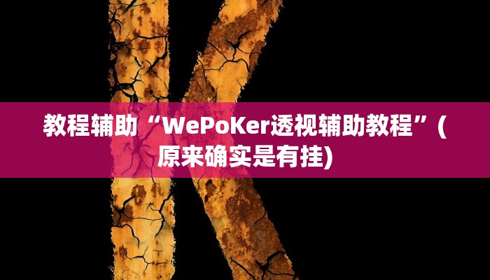 教程辅助“WePoKer透视辅助教程”(原来确实是有挂)