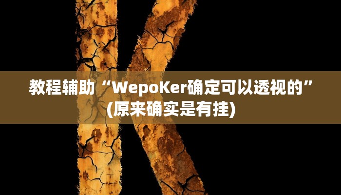 教程辅助“字牌开挂神器”(原来确实是有挂)