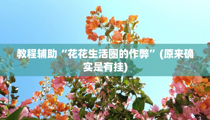 教程辅助“花花生活圈的作弊”(原来确实是有挂)