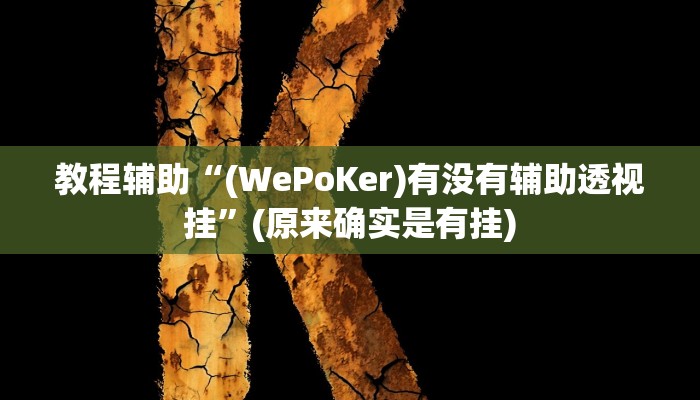 教程辅助“(WePoKer)有没有辅助透视挂”(原来确实是有挂)