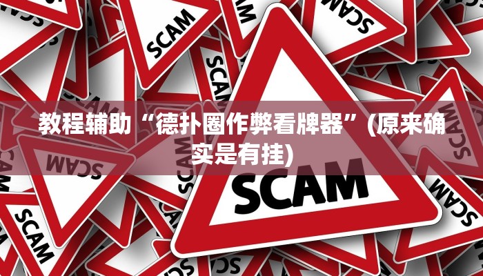 教程辅助“德扑圈作弊看牌器”(原来确实是有挂)