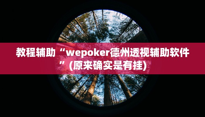 教程辅助“wepoker德州透视辅助软件”(原来确实是有挂)