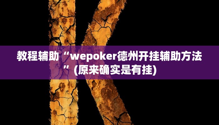 教程辅助“wepoker德州开挂辅助方法”(原来确实是有挂)