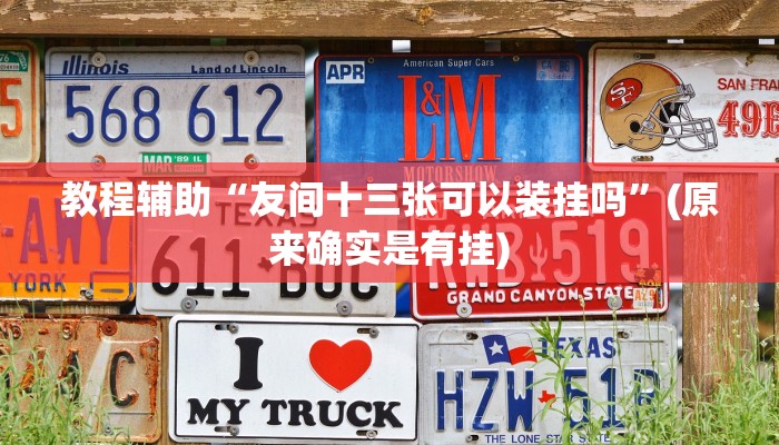 教程辅助“友间十三张可以装挂吗”(原来确实是有挂)
