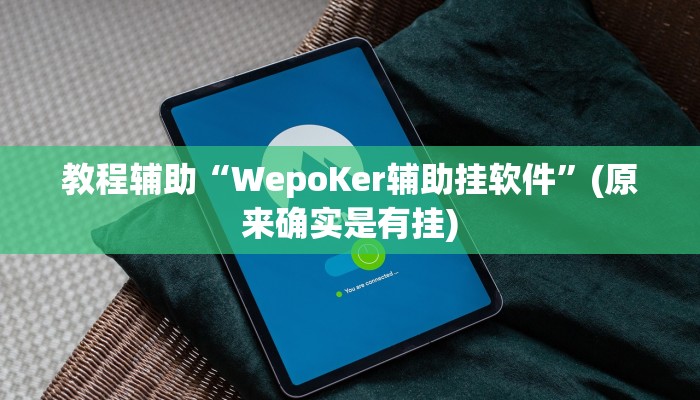 教程辅助“好玩棋牌用挂开挂软件”(原来确实是有挂)