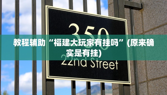 教程辅助“福建大玩家有挂吗”(原来确实是有挂)