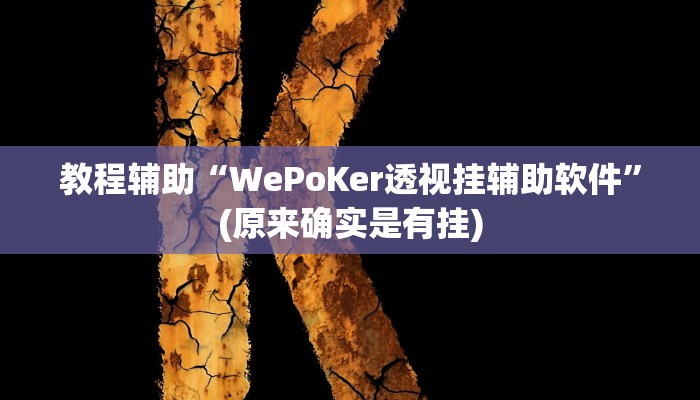 教程辅助“WePoKer透视挂辅助软件”(原来确实是有挂)