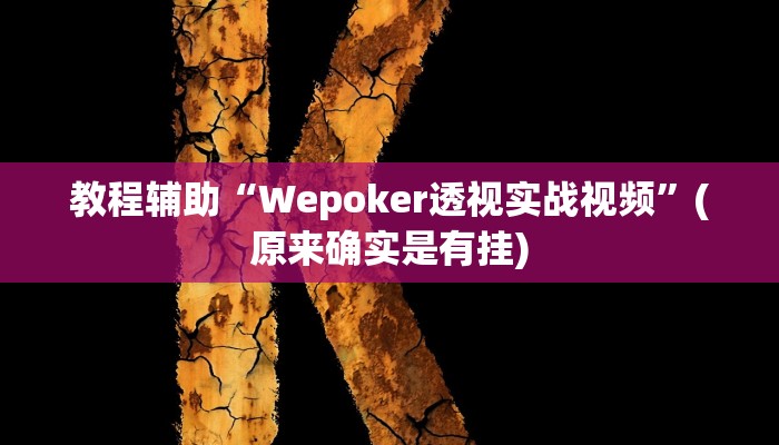 教程辅助“Wepoker透视实战视频”(原来确实是有挂)