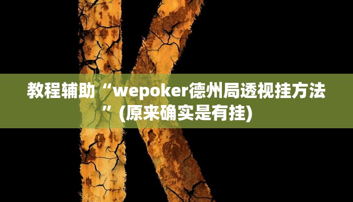教程辅助“wepoker德州局透视挂方法”(原来确实是有挂)
