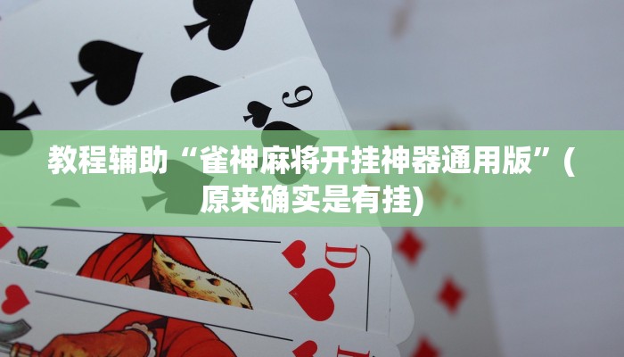 教程辅助“雀神麻将开挂神器通用版”(原来确实是有挂)