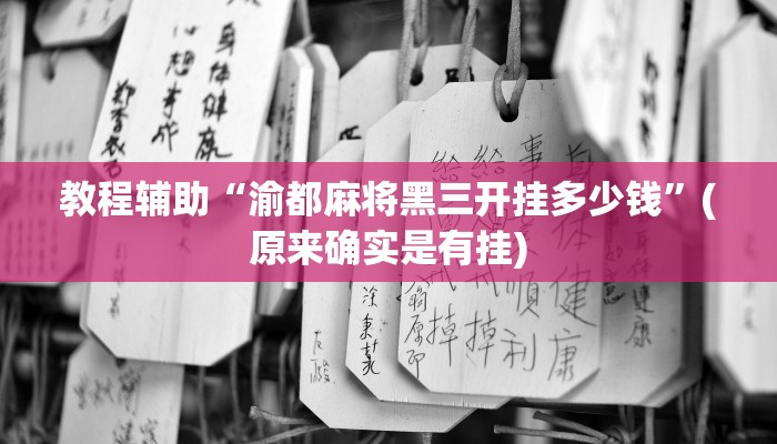 教程辅助“渝都麻将黑三开挂多少钱”(原来确实是有挂)