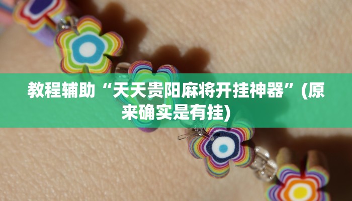 教程辅助“天天贵阳麻将开挂神器”(原来确实是有挂)
