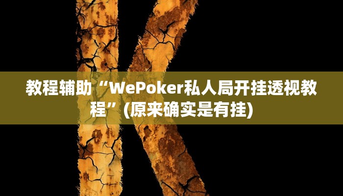 教程辅助“WePoker私人局开挂透视教程”(原来确实是有挂)