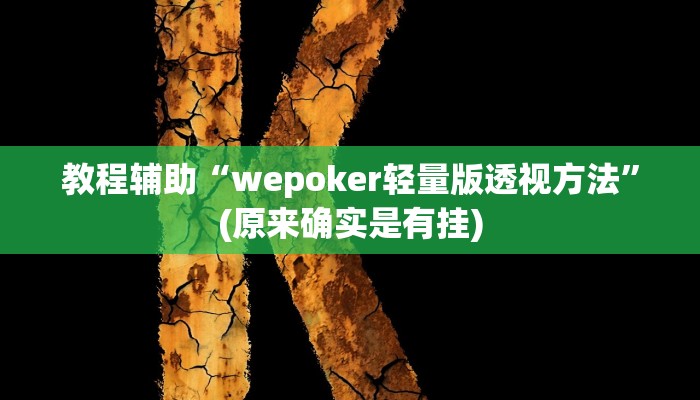 辅助神器“八闽十三张透视挂”(详细开挂教程)