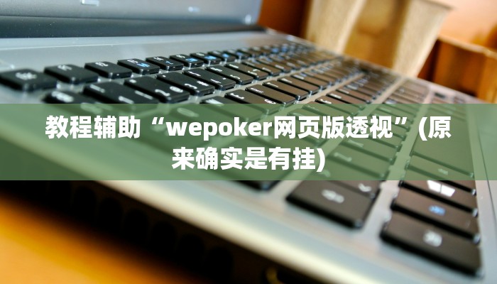教程辅助“wepoker网页版透视”(原来确实是有挂)