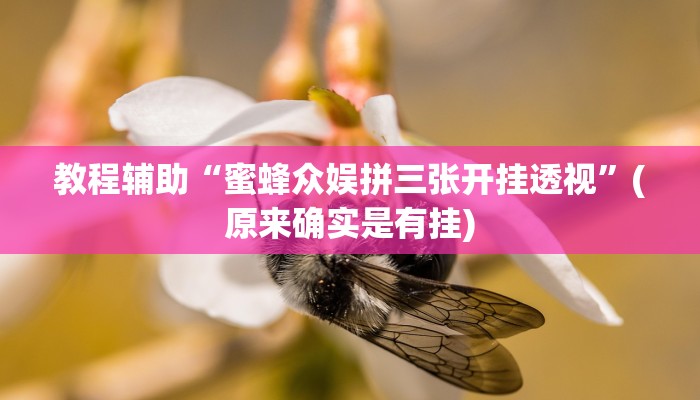 教程辅助“手机棋牌开挂教程”(原来确实是有挂)
