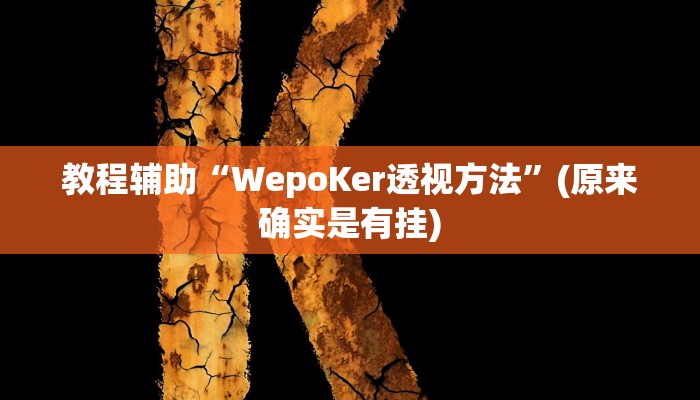 教程辅助“WepoKer透视方法”(原来确实是有挂)