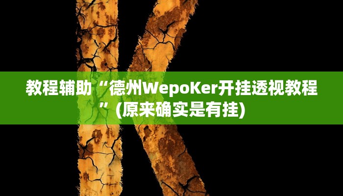 教程辅助“德州WepoKer开挂透视教程”(原来确实是有挂)