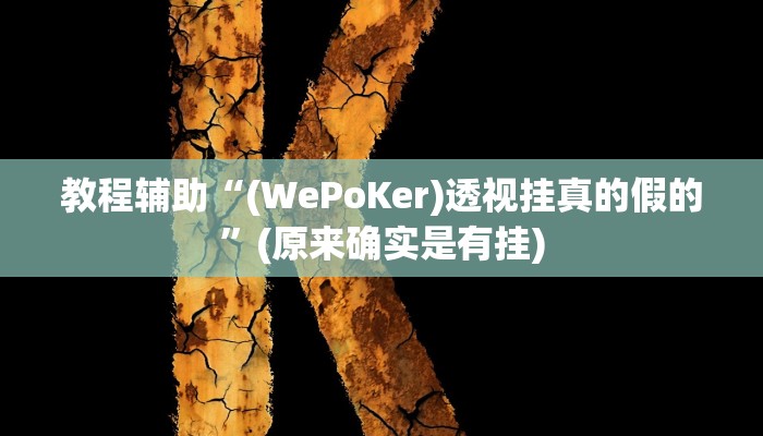 教程辅助“(WePoKer)透视挂真的假的”(原来确实是有挂)