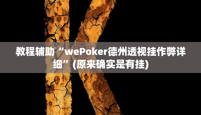 教程辅助“wePoker德州透视挂作弊详细”(原来确实是有挂)