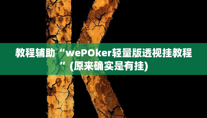 教程辅助“wePOker轻量版透视挂教程”(原来确实是有挂)