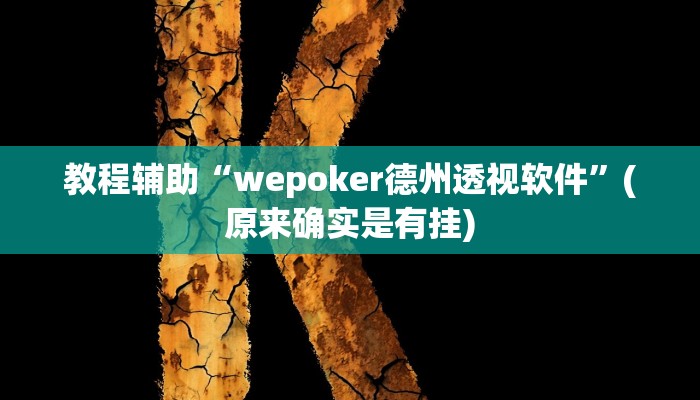 教程辅助“wepoker德州透视软件”(原来确实是有挂)