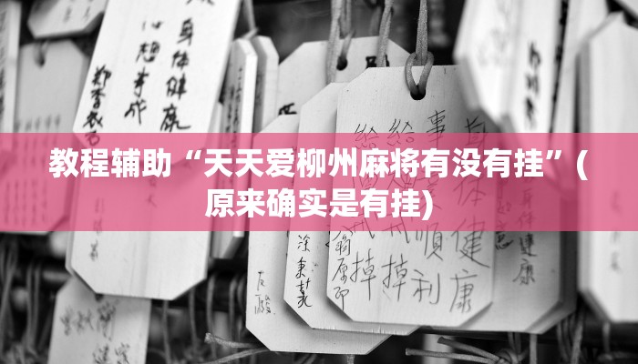 教程辅助“天天爱柳州麻将有没有挂”(原来确实是有挂)