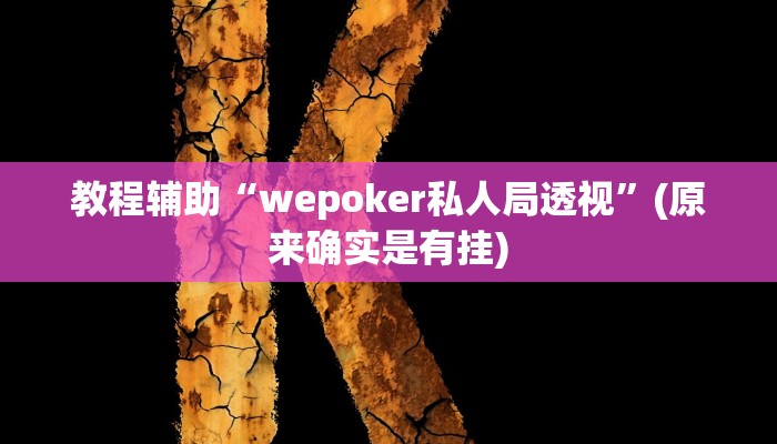 教程辅助“wepoker私人局透视”(原来确实是有挂)
