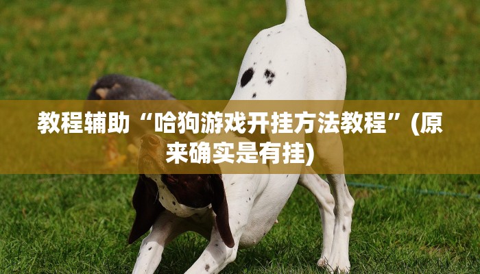 教程辅助“哈狗游戏开挂方法教程”(原来确实是有挂)