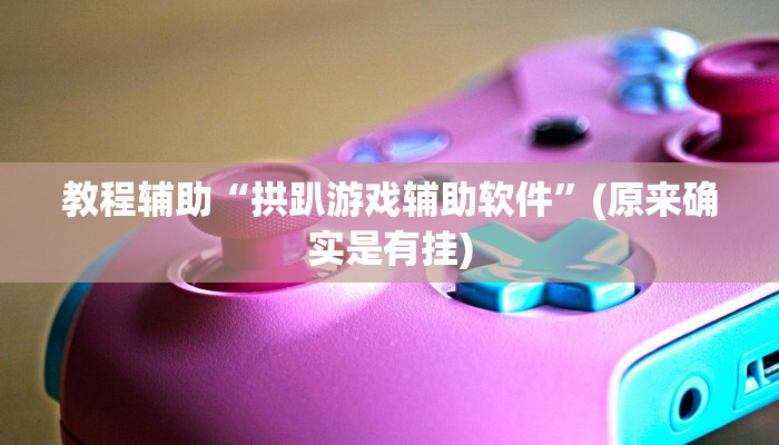 教程辅助“拱趴游戏辅助软件”(原来确实是有挂)