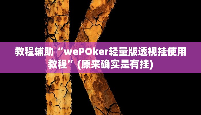 教程辅助“wePOker轻量版透视挂使用教程”(原来确实是有挂)