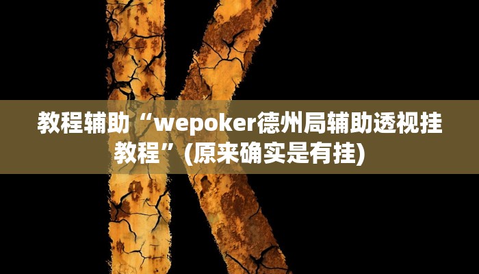 教程辅助“wepoker德州局辅助透视挂教程”(原来确实是有挂)